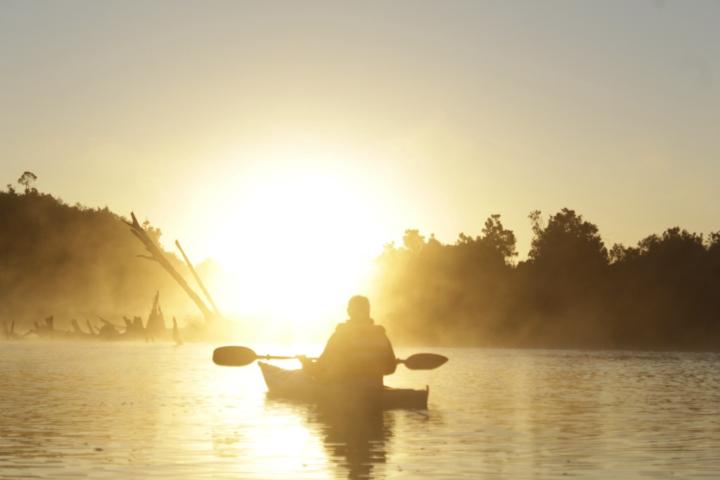 Fernanda matilde Espinosa brito