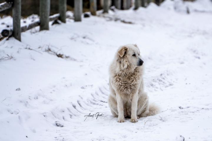 Happy Valentines Day!!