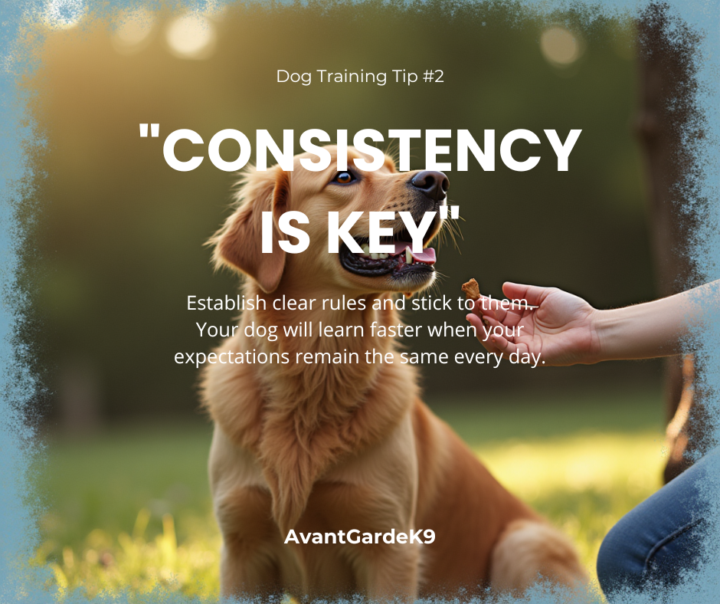 Consistency struggles 