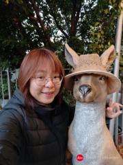 Cary Huang