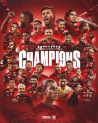 Fausto Teixeira da Silva