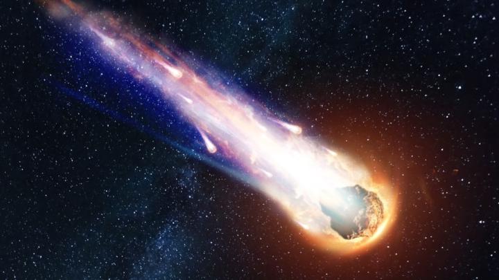 Dana Švestková info