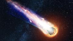 Dana Švestková info