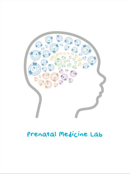 Andreina Schoeberlein