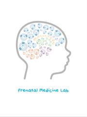 Andreina Schoeberlein