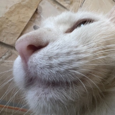 Yaqub Abdul Bin Hasan