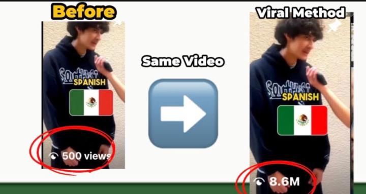 The Bigreem Viral Video Method