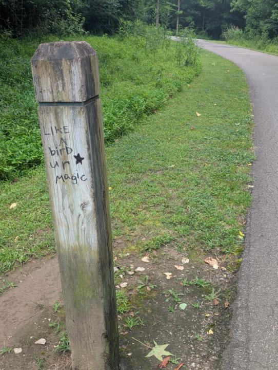 Stephanie Pruitt-Gaines