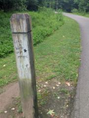 Stephanie Pruitt-Gaines