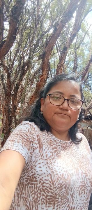 Monica del Rocío Barahona Chiguano