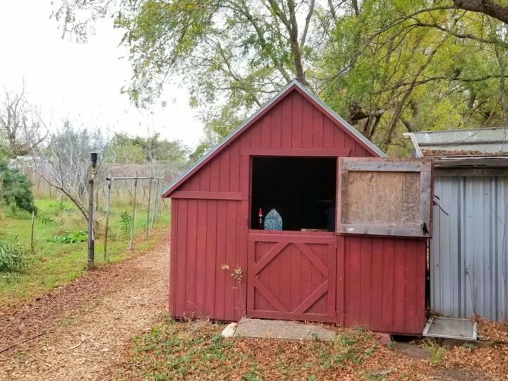 DECEMBER INTROS CONTEST🌲🎅WHERE'D SANTA'S ELF PUT YOUR FLUTE?!?