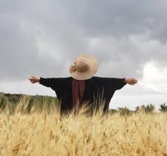 هالة منصور شايف عبدالرب العفوري