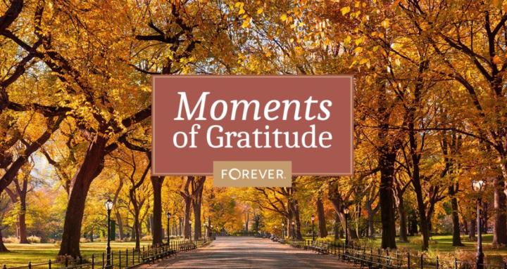 Photo Legacy Digital Solutions