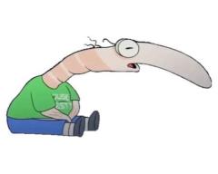 Micheal M
