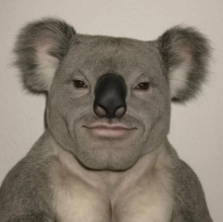 Darius Partridge