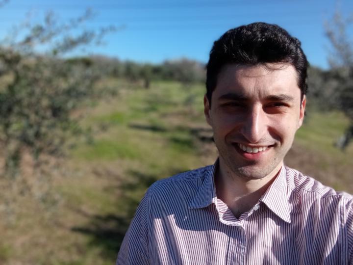 Mario Grilli