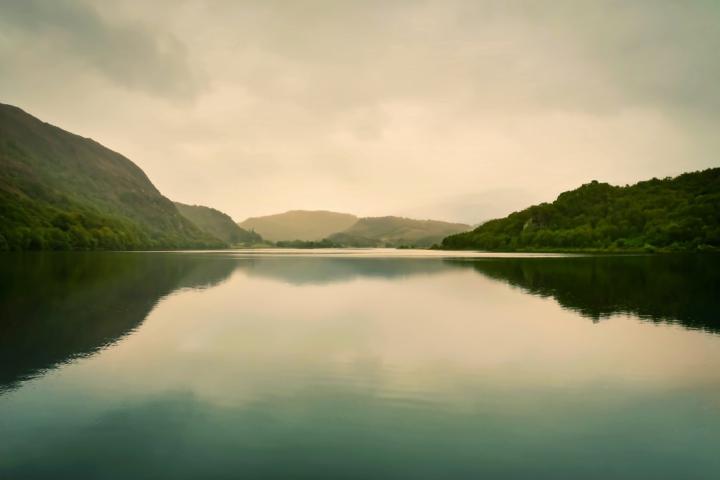 Simon Bradley