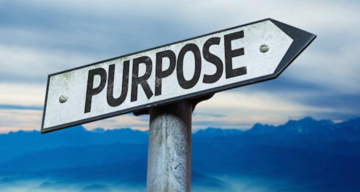 Purpose-Driven Professionals 