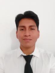 Luis Alejandro Mamani Garnique