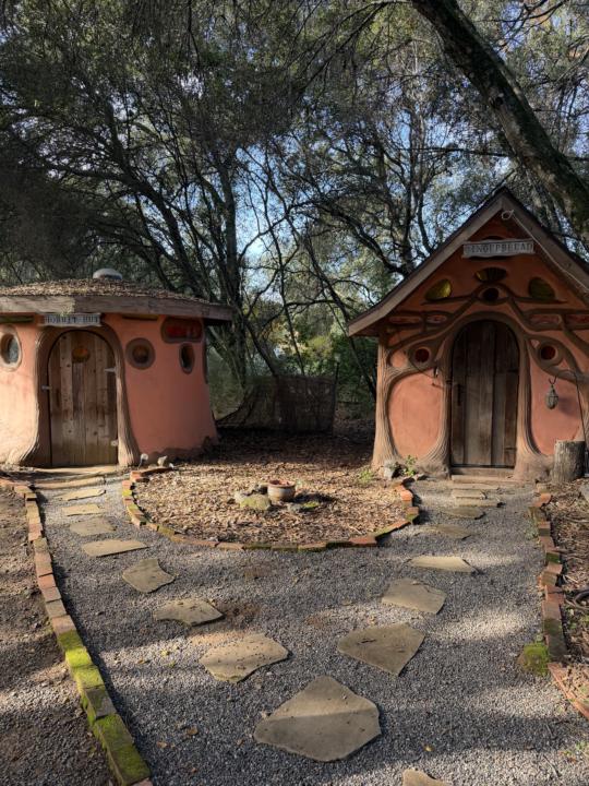 Live call tomorrow at 12 PST