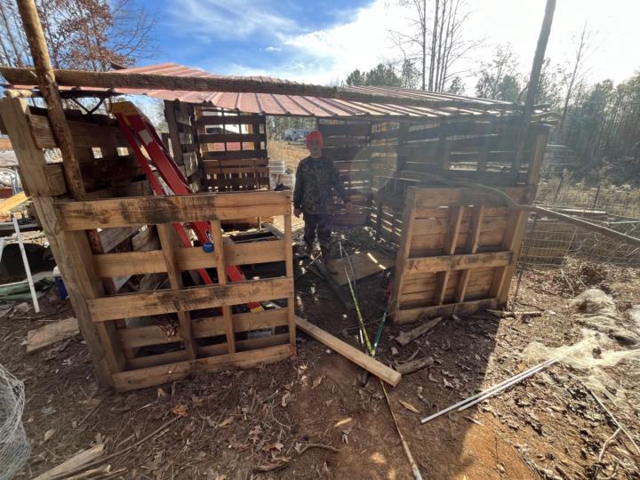 $10 Pallet coop — to be cobbed down the road. 