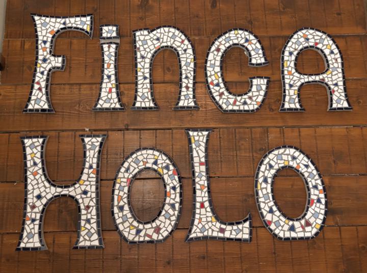 Mosaic update 