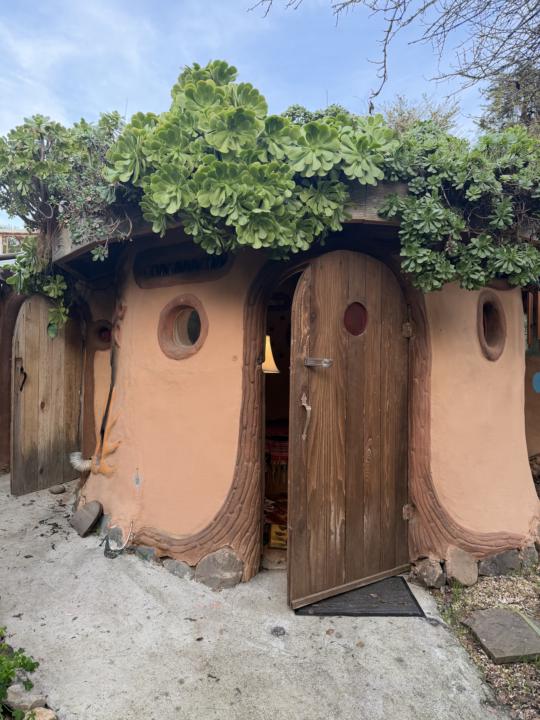 Looking forward to seeing you tomorrow for our community call! 