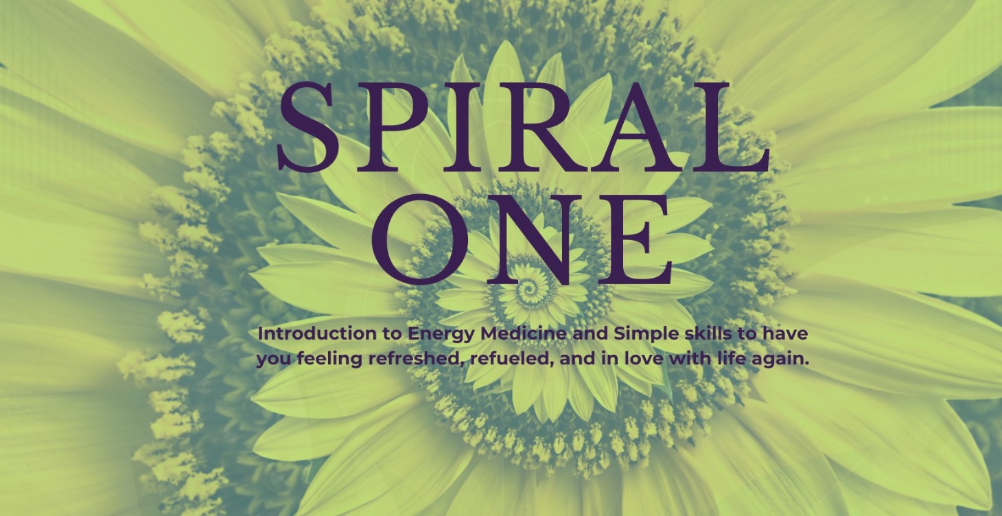 Spiral One - Standalone, no subscription