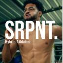 Logo <mark>Hybrid</mark>/Hyrox Athletes - SRPNT