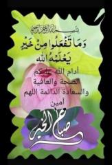 Ayoub Mrida