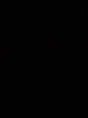 Christopher Procopio