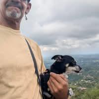 Pepper's excellent adventures Tolliver