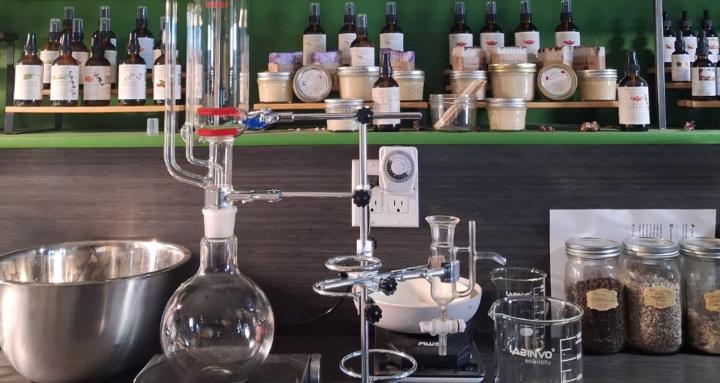 School of Herbal Alchemy