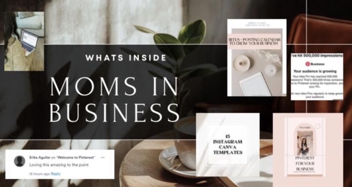 Moms in Business