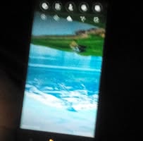 حسن الشلاتي