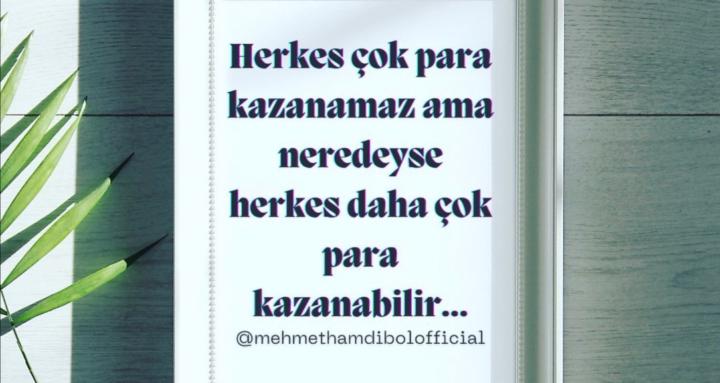 Mehmet Hamdi Bol - Mentorluk