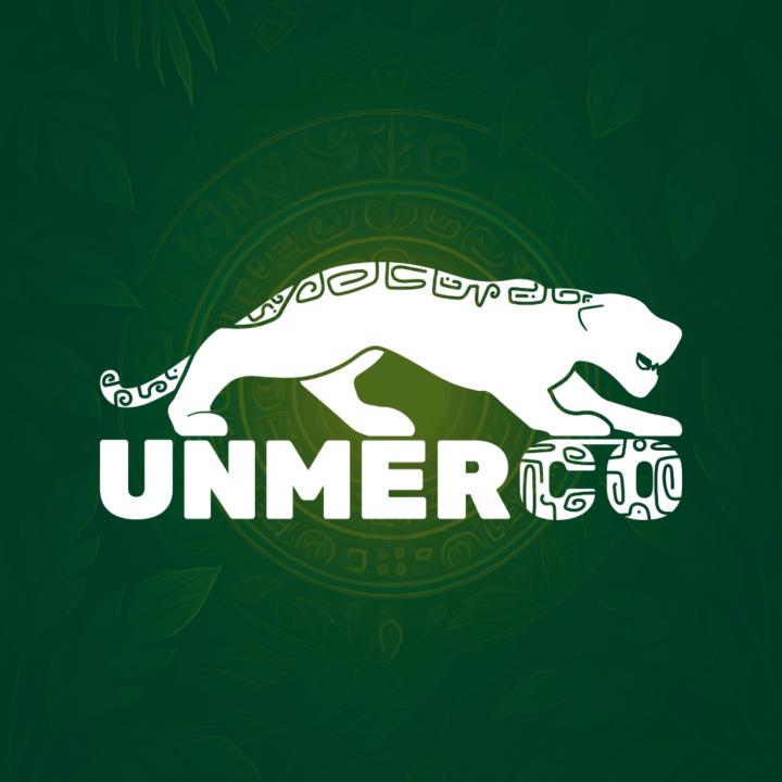 Unmerco Latam