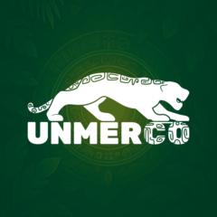 Unmerco Latam