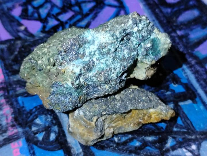 Day 1 — Orientation: “You’ve Been Looking at the Ground Wrong”