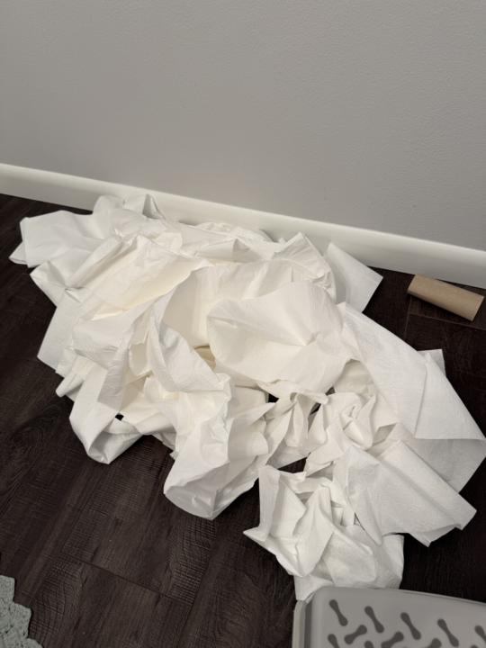 House Keeping