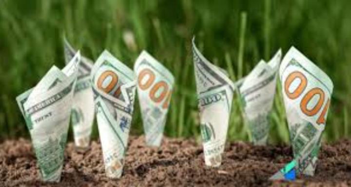 Silver Lining Income