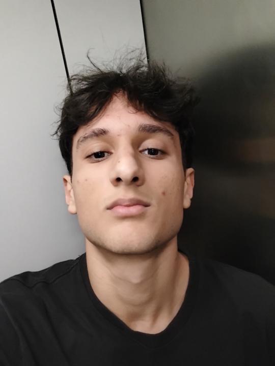 Pedro Henrique Marques Batista