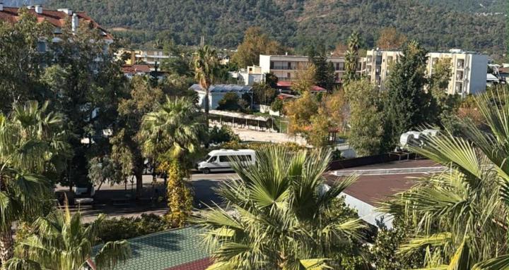 WJ Holiday and Travel Reviews