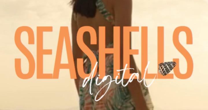 Seashells Digital