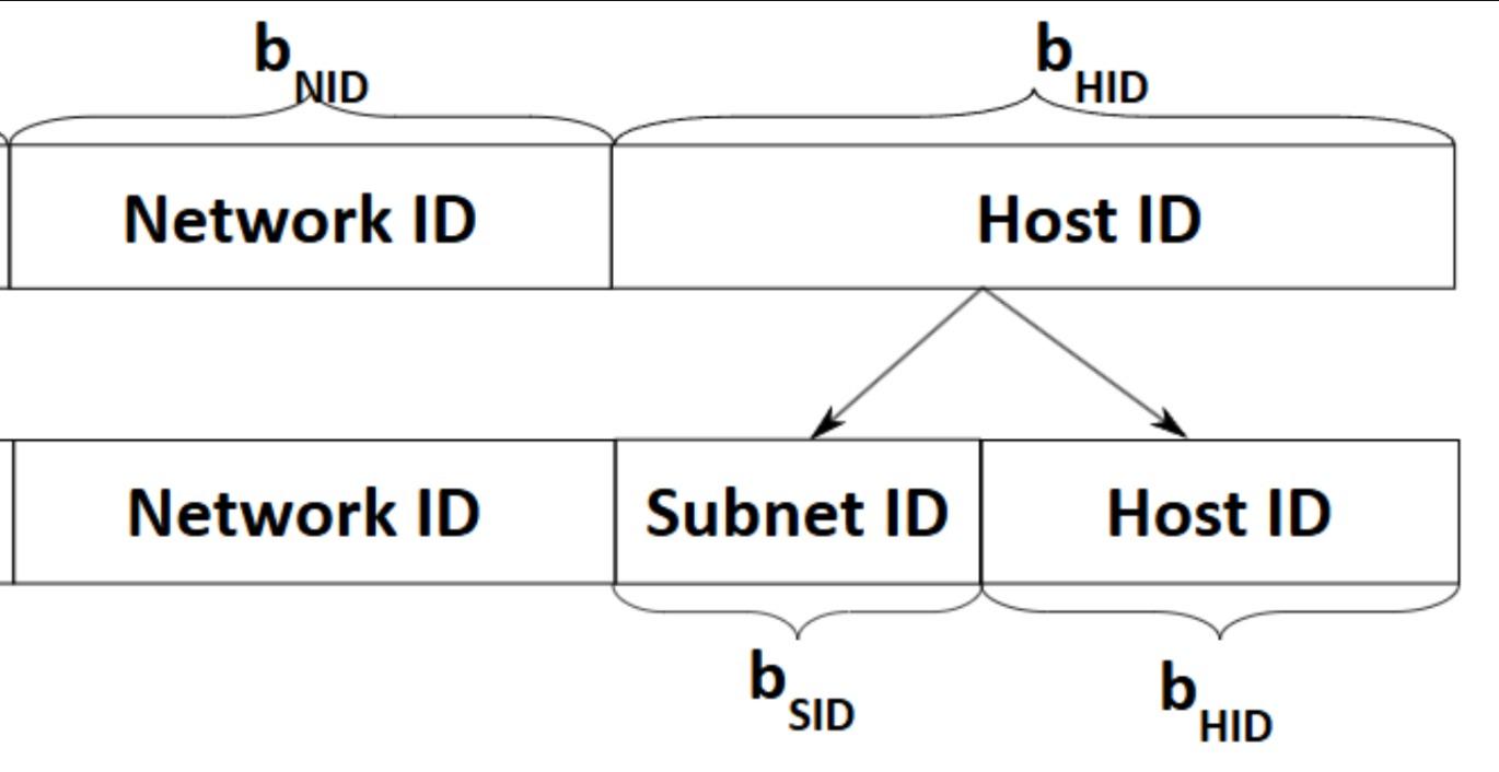 IP Addressing and Subnetting