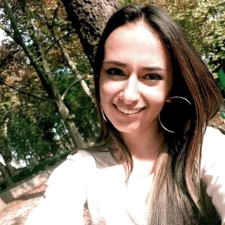 Seherzada Remic