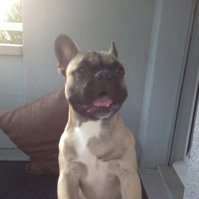 Martin-Peter Lambert