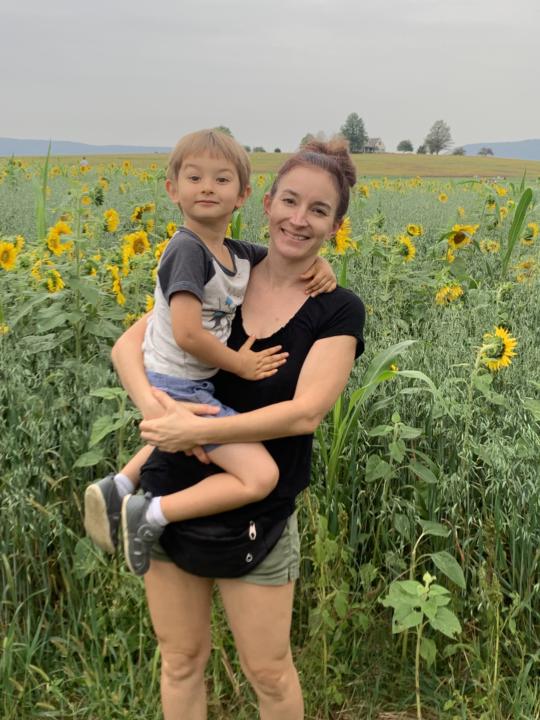 Sunflower Festival 