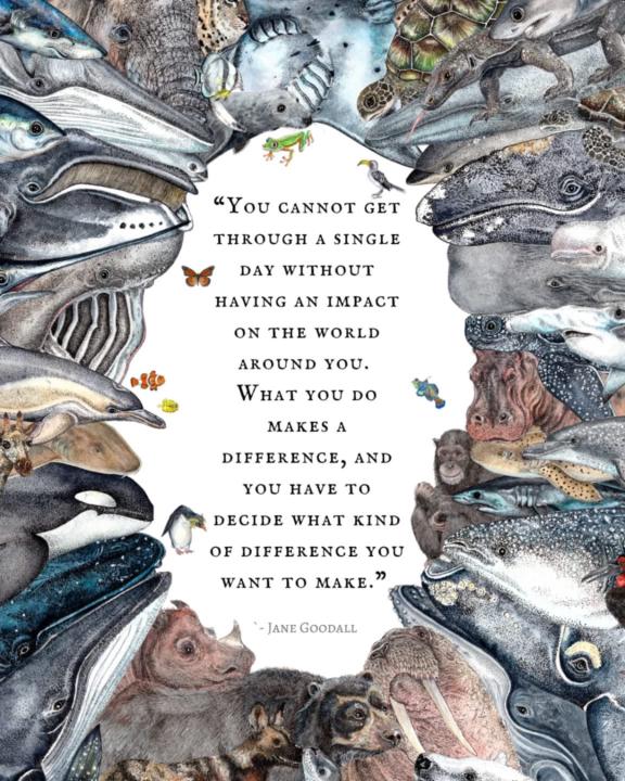 What kind of difference do you want to make?