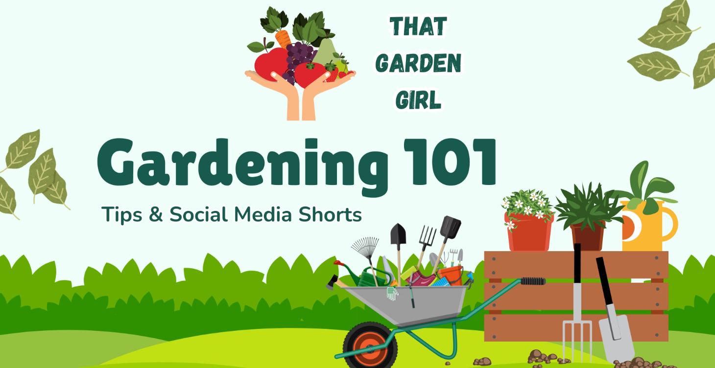 GARDEN HACKS & OTHER SOCIAL MEDIA REELS